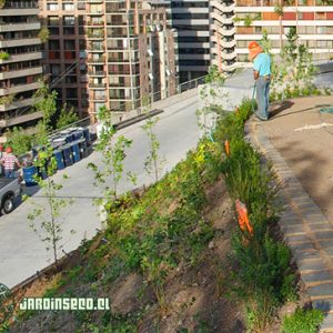 Paisajismo interior y exterior
