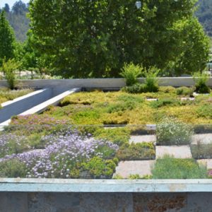 Sistema modular vegetal