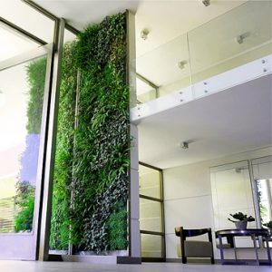 Arriendo de muros verdes